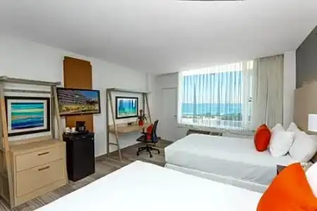 Seagull Miami Beach - 63