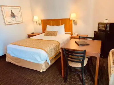 St. George Inn & Suites - 64
