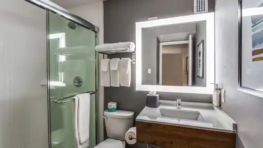 Ramada by Wyndham Dallas Love Field - 70