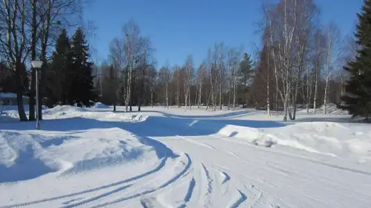 Yöpuu - 9