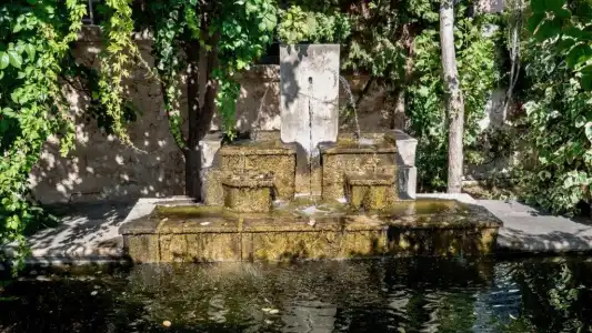 Villa Andromeda - 8