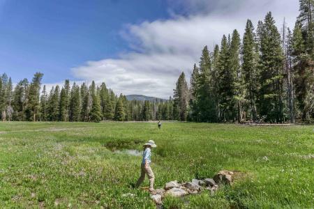 Holiday Inn Express & Suites Oakhurst - Yosemite Park Area by IHG - 17