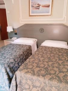 Andromaco Palace - 13