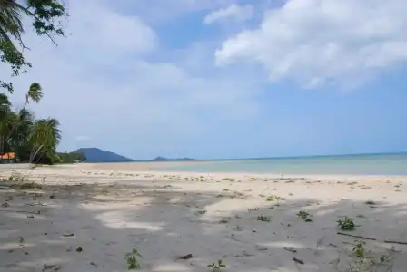 Laura's Guest House - adult only - - 24