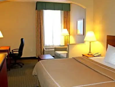 Quality Suites Austin South St. Elmo District - 23