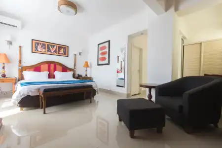 Palms - 3