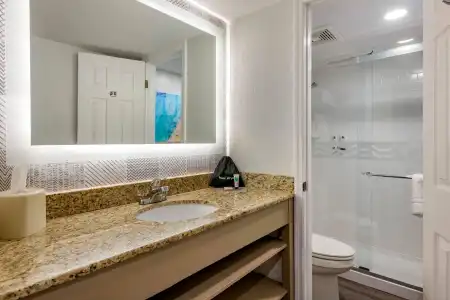 Dolphin Sands Clearwater Beach, an Ascend Collection - 91