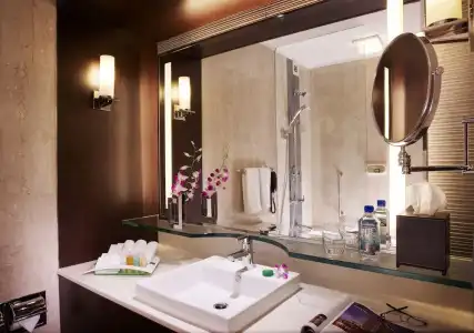 Holiday Inn Singapore Orchard City Centre by IHG - 53