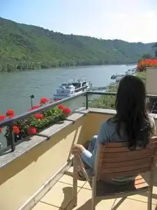 Baudobriga Rheinhotel - 11