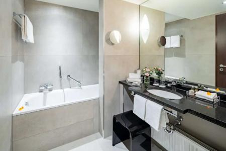 Park Plaza Trier, Germany - 60