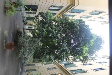 Rovati Guest House - 0