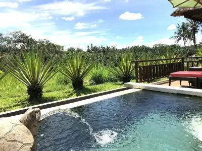 Villa Semana Resort & Spa - 255