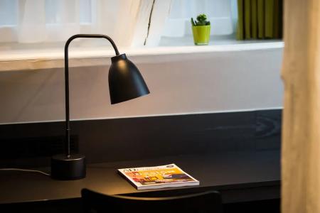 Hôtel du Dragon - 73