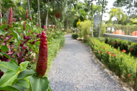 Aonang Bunk Resort - 10