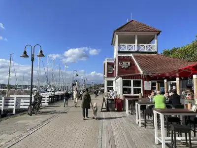 BoutiquePETUH - 18
