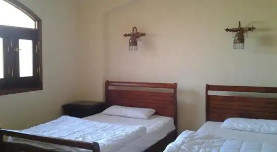 Nile Compound - 4