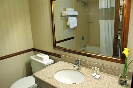 University Square - 15