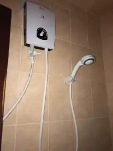 Iris - 60