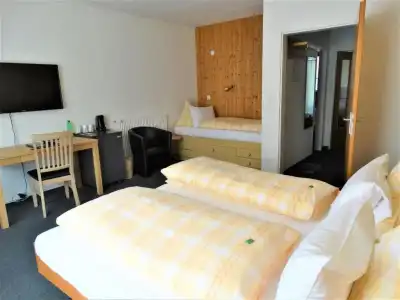 Bündnerhof - 24