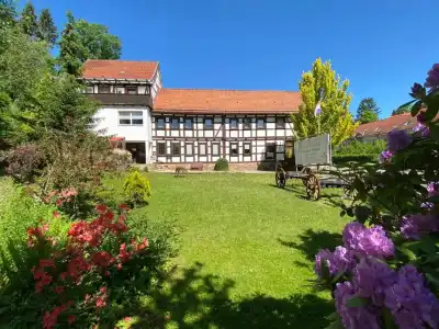 Pension Gelpkes Mühle - 47