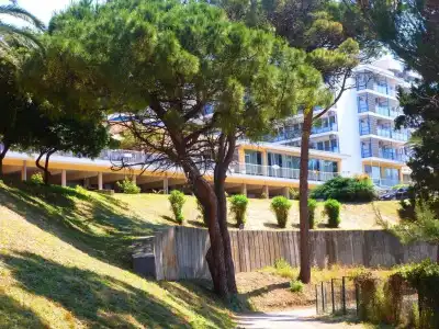 Corpus B - Albatros - 5