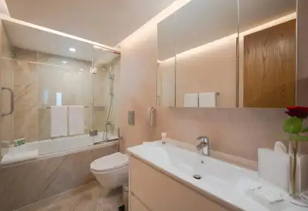 Hyatt Regency Dubai - 9