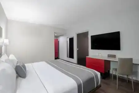 City Express Plus by Marriott Ciudad de México Insurgentes Sur - 65
