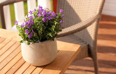 Strandhafer Aparthotel - 24