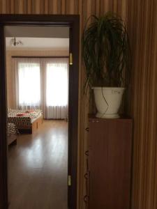 Guesthouse Gia - 24