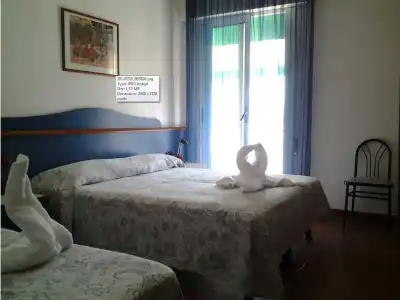 Trifoglio - 4