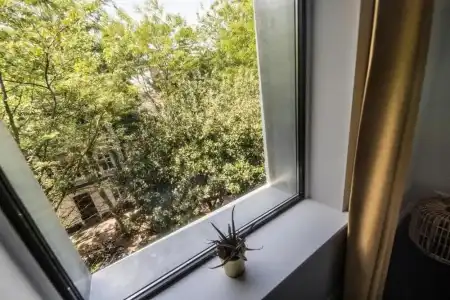 Alex Maastricht - 42