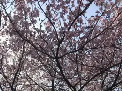 APA Shinjuku Gyoemmae - 22