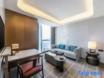 HUALUXE Xi an Chanba by IHG - 94