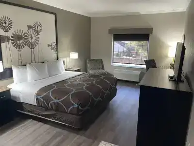 Super 8 by Wyndham San Antonio/Alamodome Area - 41