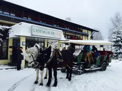 Das Wiesgauer - AlpenInzell - 19
