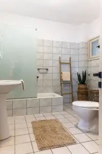 Dedalos - 100