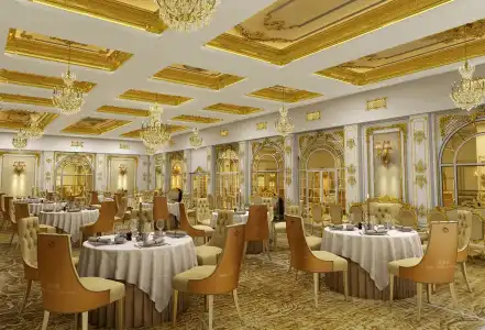 The Raj Palace - 29