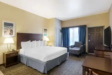Best Western Naples Plaza - 26