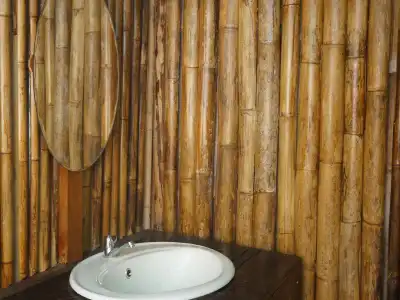 Khao Sok Jungle Resort - 3