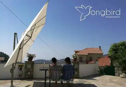 Songbird - 29