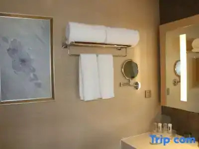Holiday Inn Suzhou Huirong Plaza by IHG - 143
