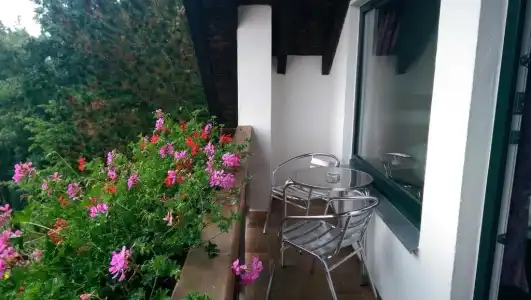 Pension Haus Diefenbach - 63