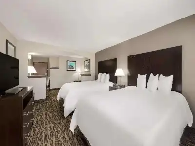 Comfort Suites Plano East - Richardson - 70
