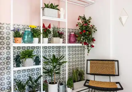 Nyx Chic Manor - 49