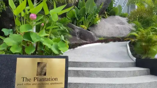 The Plantation Koh Tao - 46
