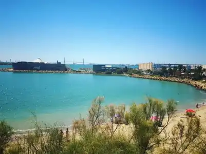 Pinomar - 20