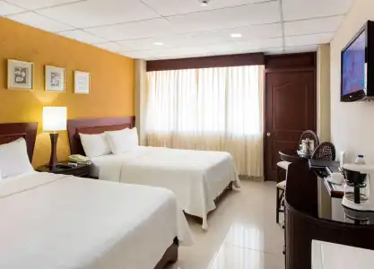 Centro Plaza Hodelpa - 5