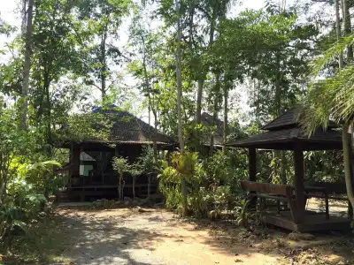 Pang Mai Resort - 15