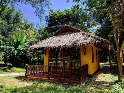 Our Jungle Camp - Eco Resort - 8