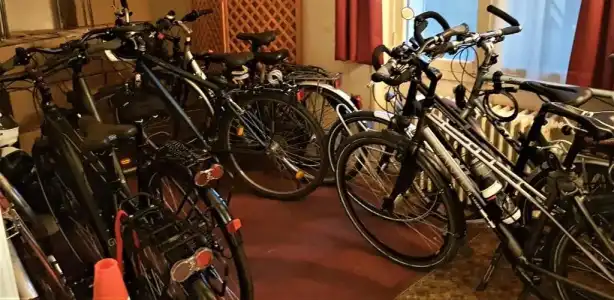 Hôtel Des Cèdres - 14